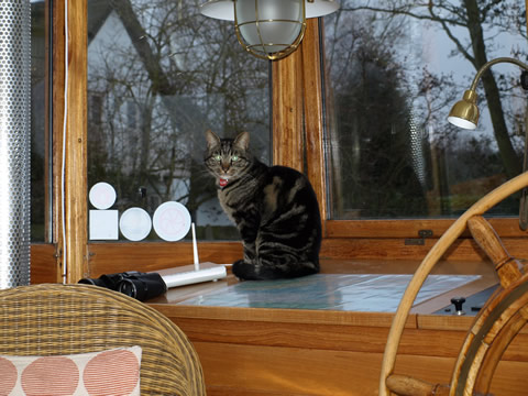 Chart table 
with Hardy the cat, picture thanks to Alan Arnold 2010